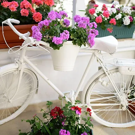 White Palace Hotel Adalar